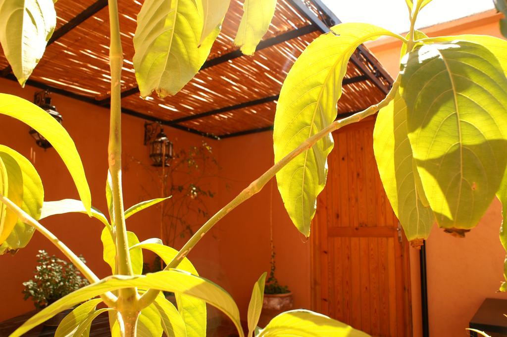 Maison D'Hotes Dar El Nath วาร์ซาเซต ภายนอก รูปภาพ