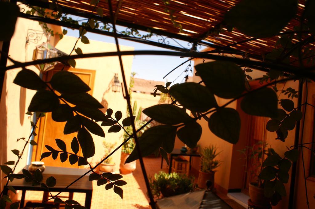 Maison D'Hotes Dar El Nath วาร์ซาเซต ภายนอก รูปภาพ