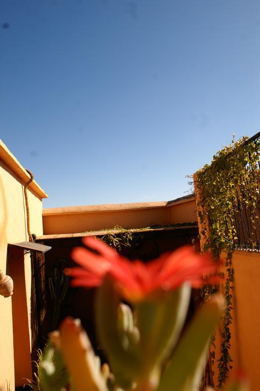 Maison D'Hotes Dar El Nath วาร์ซาเซต ภายนอก รูปภาพ